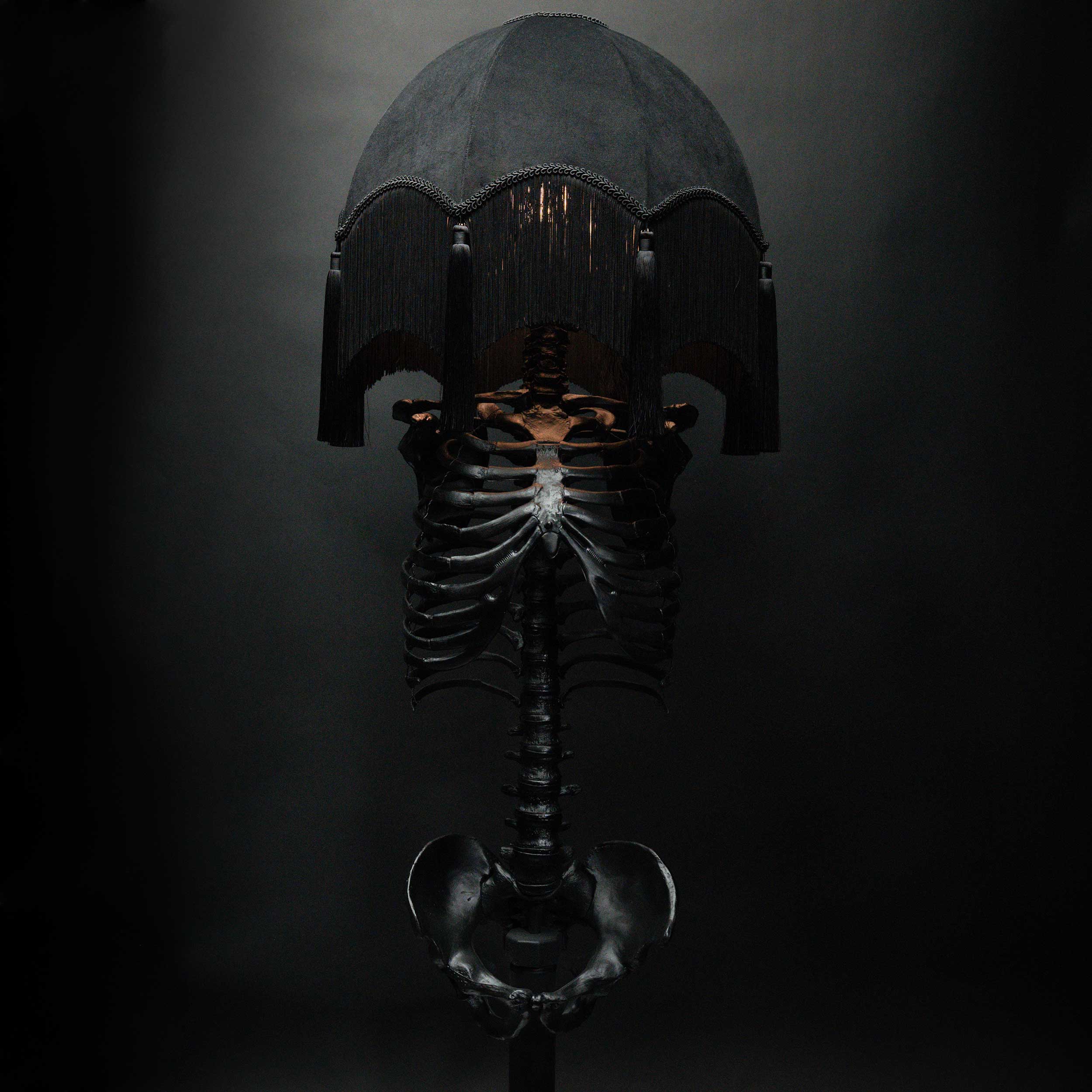 Featured Lamps